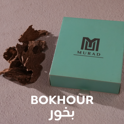 دفتر مدرسي